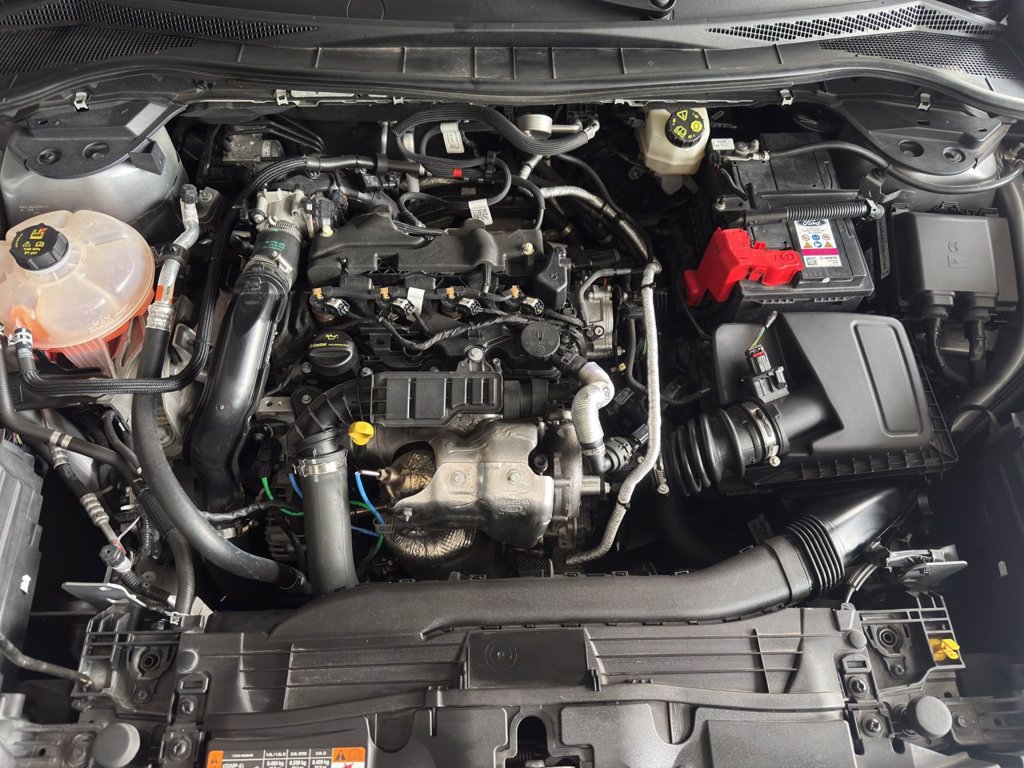 FORD Kuga 1.5 ecoblue st-line 2wd 120cv